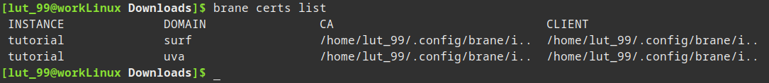 A view of the HTML with the predictions done by the model.